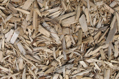 biomass boilers Cuiken
